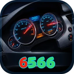 6566